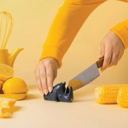 Aiguiseur à couteaux...