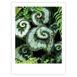 POSTER 30X40CM MAGICAL NATURE