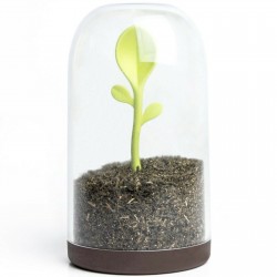 BOITE A THÉ SPROUT JAR QUALY