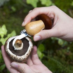Couteau à champignons