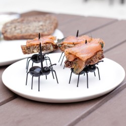 Pics à apéritif Fourmis (x20)