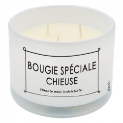 Bougie Spéciale Chieuse –...