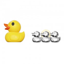 SET DE 2 PIN'S CANARD