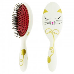 BROSSE A CHEVEUX PYLONES...