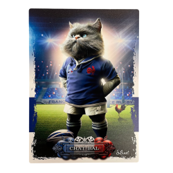 Tableau Chat-Bal Sylvain...