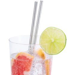 Pailles en acier (x10)